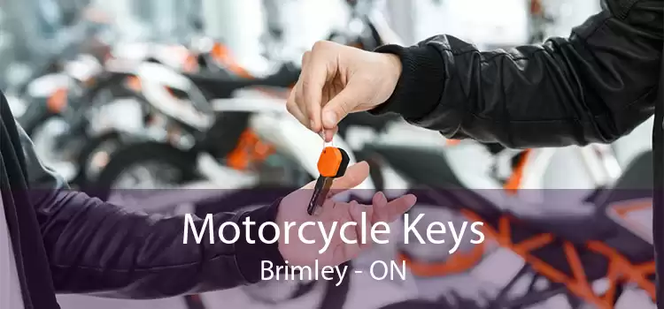 Motorcycle Keys Brimley - ON