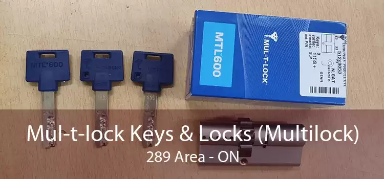 Mul-t-lock Keys & Locks (Multilock) 289 Area - ON