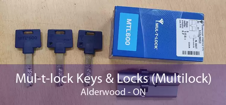 Mul-t-lock Keys & Locks (Multilock) Alderwood - ON