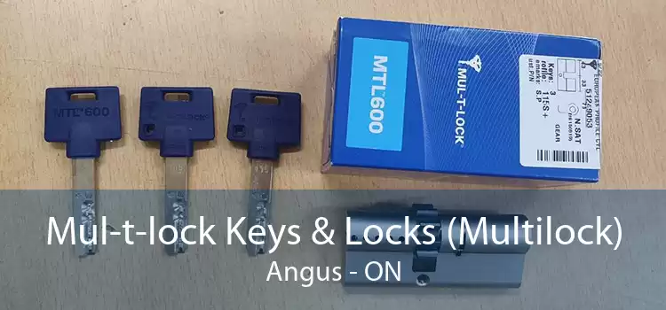 Mul-t-lock Keys & Locks (Multilock) Angus - ON