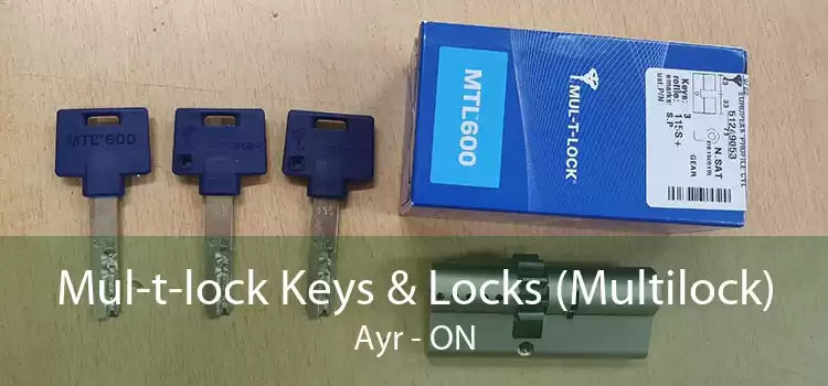 Mul-t-lock Keys & Locks (Multilock) Ayr - ON