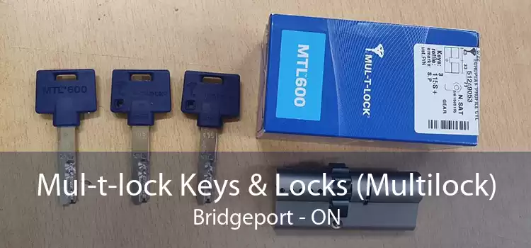 Mul-t-lock Keys & Locks (Multilock) Bridgeport - ON
