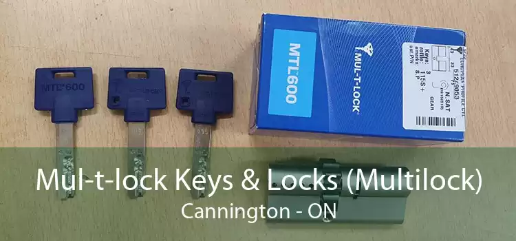 Mul-t-lock Keys & Locks (Multilock) Cannington - ON