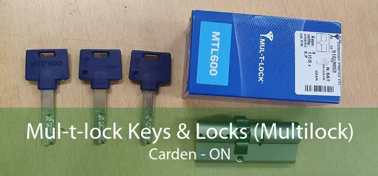 Mul-t-lock Keys & Locks (Multilock) Carden - ON
