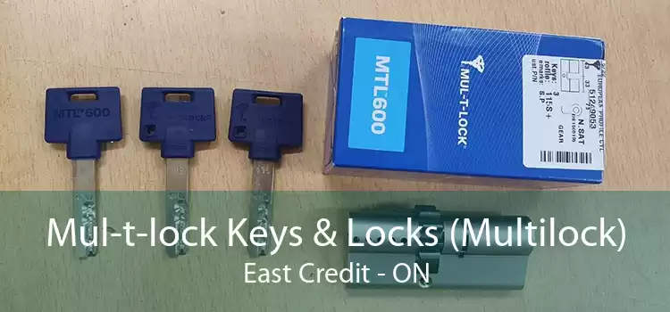 Mul-t-lock Keys & Locks (Multilock) East Credit - ON
