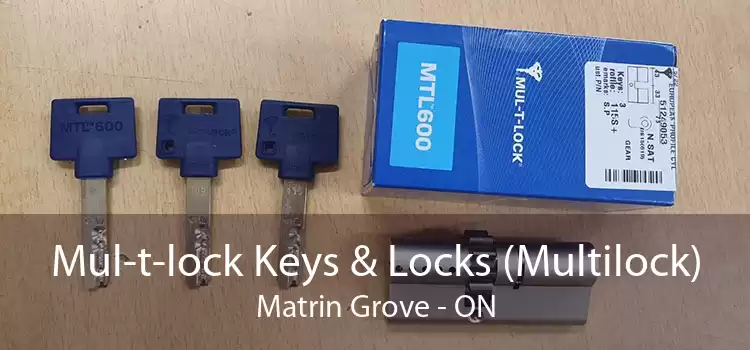 Mul-t-lock Keys & Locks (Multilock) Matrin Grove - ON