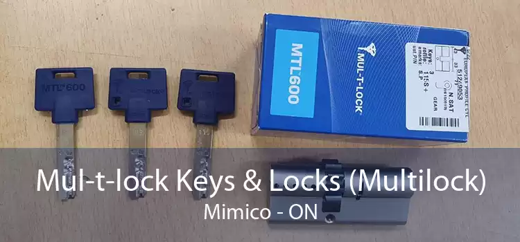 Mul-t-lock Keys & Locks (Multilock) Mimico - ON
