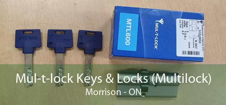 Mul-t-lock Keys & Locks (Multilock) Morrison - ON