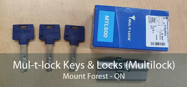 Mul-t-lock Keys & Locks (Multilock) Mount Forest - ON