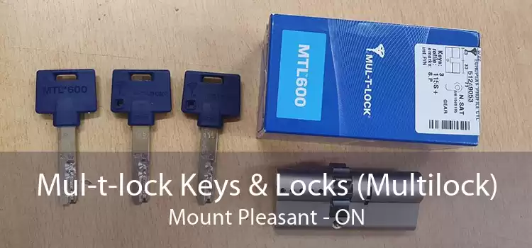 Mul-t-lock Keys & Locks (Multilock) Mount Pleasant - ON