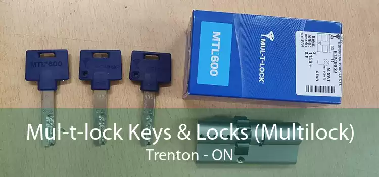 Mul-t-lock Keys & Locks (Multilock) Trenton - ON