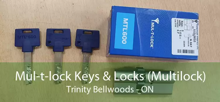Mul-t-lock Keys & Locks (Multilock) Trinity Bellwoods - ON
