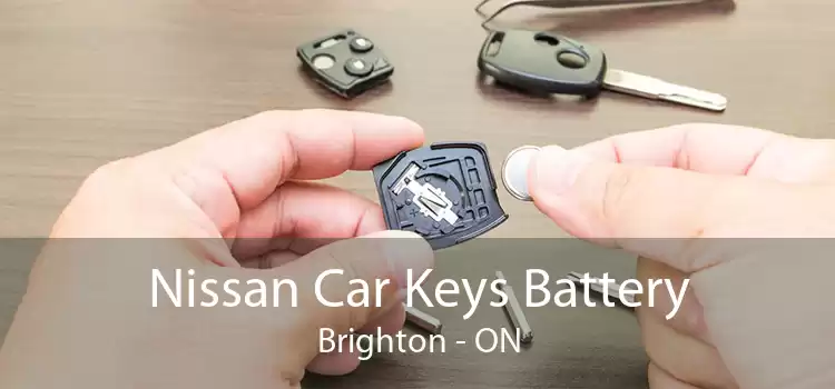 Nissan Car Keys Battery Brighton - ON