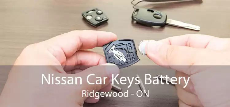 Nissan Car Keys Battery Ridgewood - ON