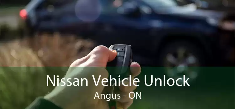 Nissan Vehicle Unlock Angus - ON