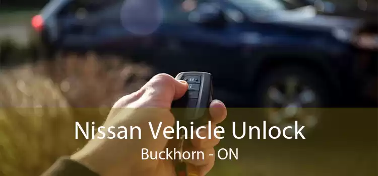 Nissan Vehicle Unlock Buckhorn - ON