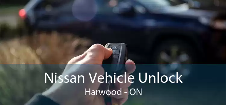 Nissan Vehicle Unlock Harwood - ON