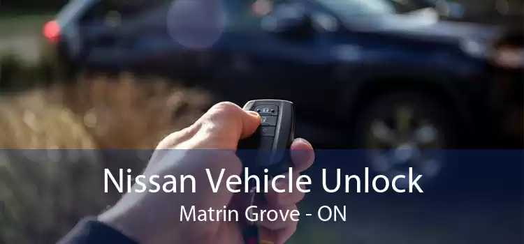 Nissan Vehicle Unlock Matrin Grove - ON