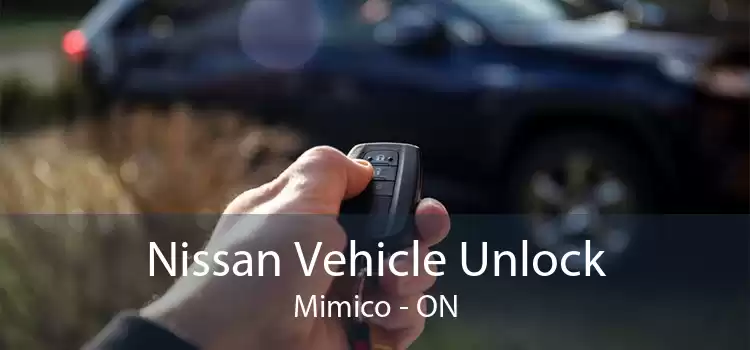 Nissan Vehicle Unlock Mimico - ON