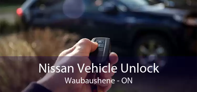 Nissan Vehicle Unlock Waubaushene - ON