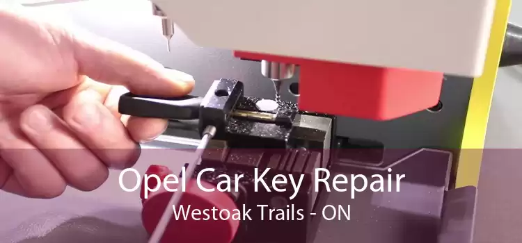 Opel Car Key Repair Westoak Trails - ON