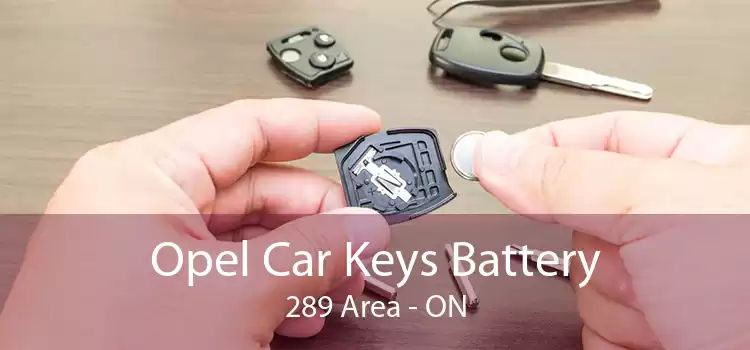Opel Car Keys Battery 289 Area - ON