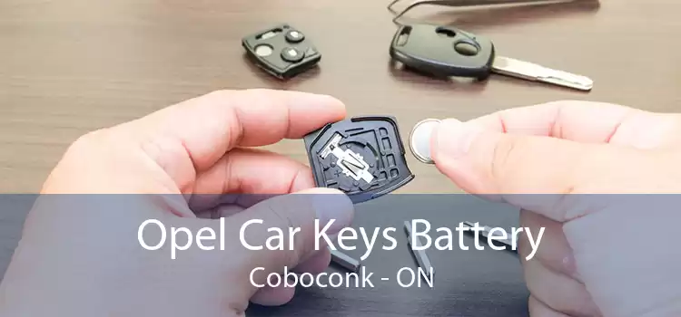 Opel Car Keys Battery Coboconk - ON