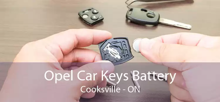 Opel Car Keys Battery Cooksville - ON