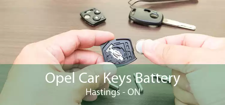 Opel Car Keys Battery Hastings - ON