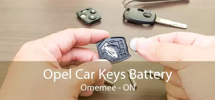 Opel Car Keys Battery Omemee - ON