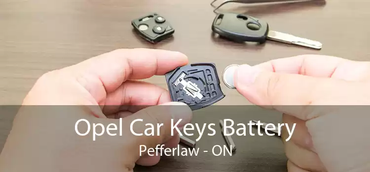 Opel Car Keys Battery Pefferlaw - ON