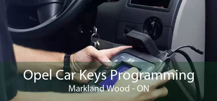 Opel Car Keys Programming Markland Wood - ON