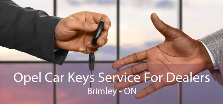 Opel Car Keys Service For Dealers Brimley - ON