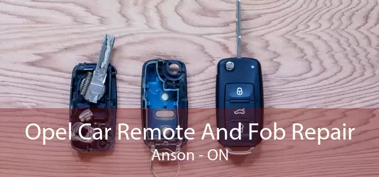 Opel Car Remote And Fob Repair Anson - ON