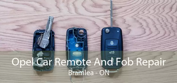 Opel Car Remote And Fob Repair Bramlea - ON
