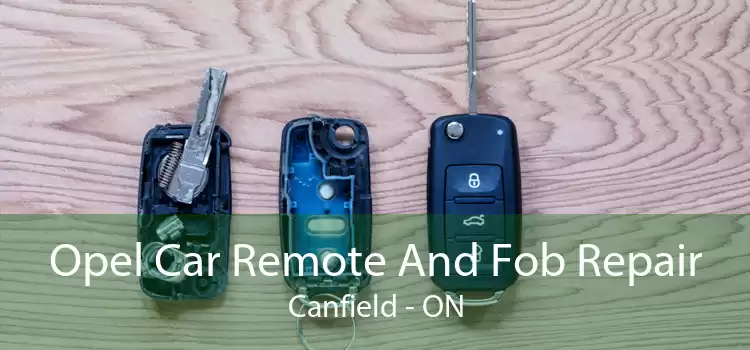 Opel Car Remote And Fob Repair Canfield - ON