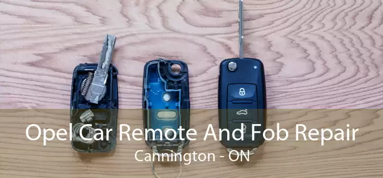 Opel Car Remote And Fob Repair Cannington - ON