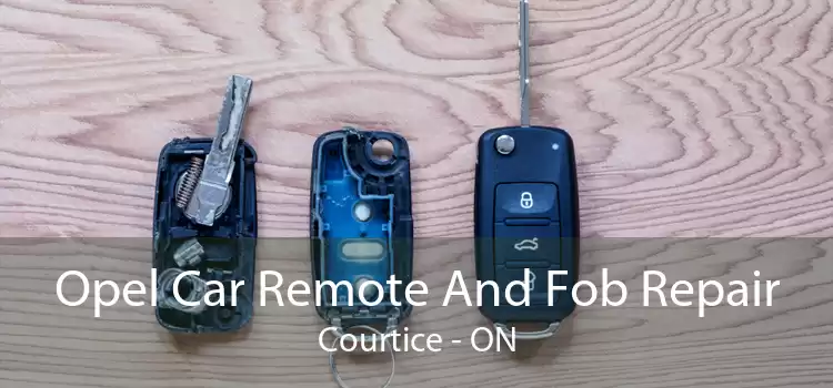 Opel Car Remote And Fob Repair Courtice - ON