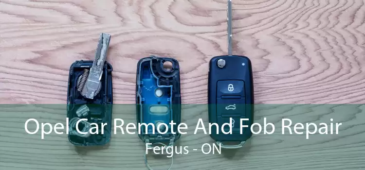 Opel Car Remote And Fob Repair Fergus - ON