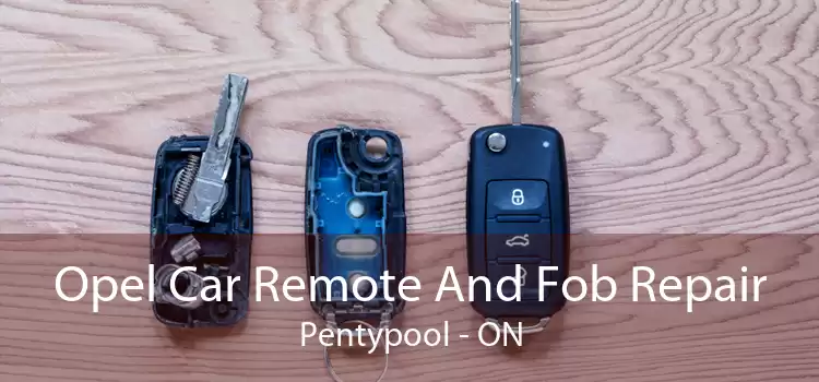 Opel Car Remote And Fob Repair Pentypool - ON