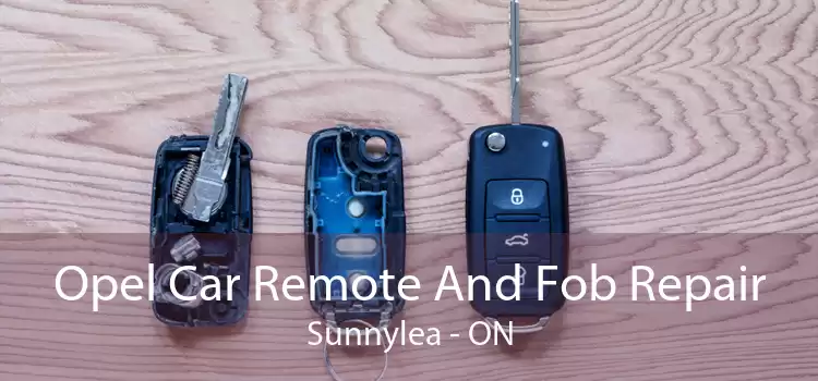 Opel Car Remote And Fob Repair Sunnylea - ON