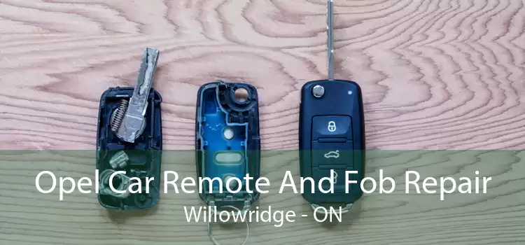 Opel Car Remote And Fob Repair Willowridge - ON
