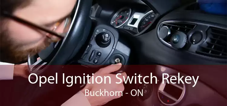 Opel Ignition Switch Rekey Buckhorn - ON