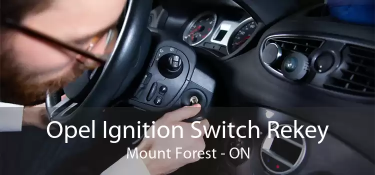 Opel Ignition Switch Rekey Mount Forest - ON
