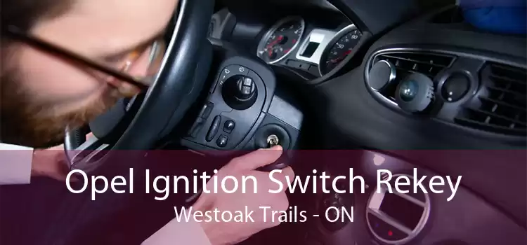 Opel Ignition Switch Rekey Westoak Trails - ON