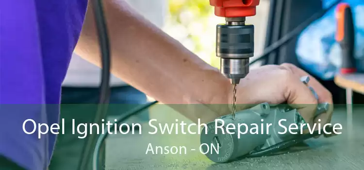 Opel Ignition Switch Repair Service Anson - ON
