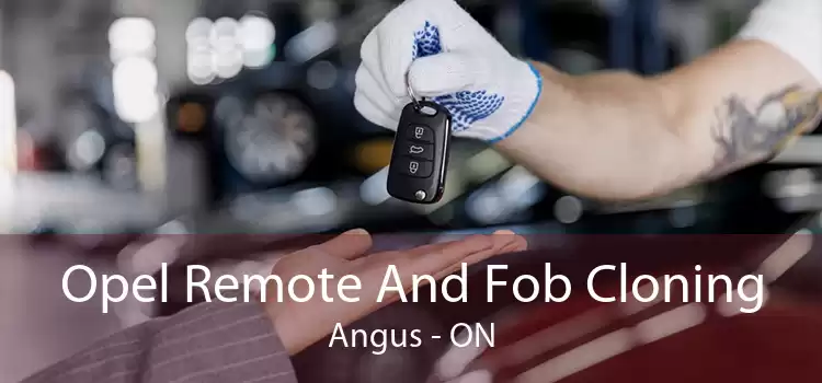 Opel Remote And Fob Cloning Angus - ON