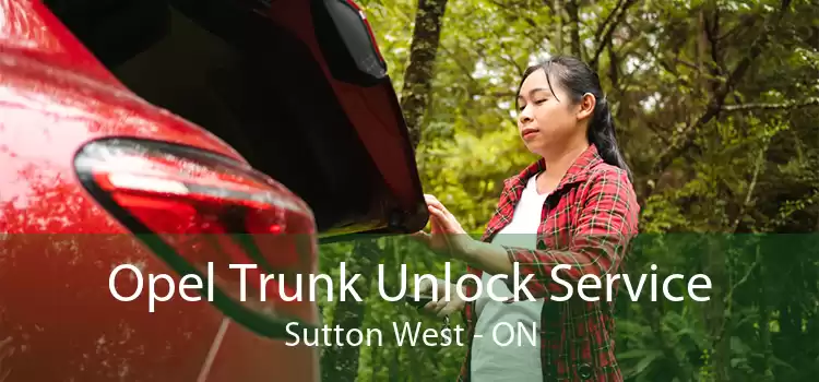 Opel Trunk Unlock Service Sutton West - ON