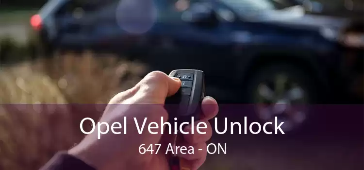 Opel Vehicle Unlock 647 Area - ON