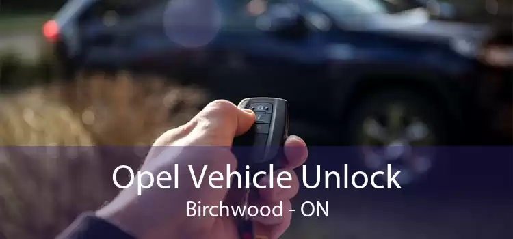 Opel Vehicle Unlock Birchwood - ON
